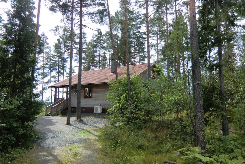 Dachsbau - Ostseite