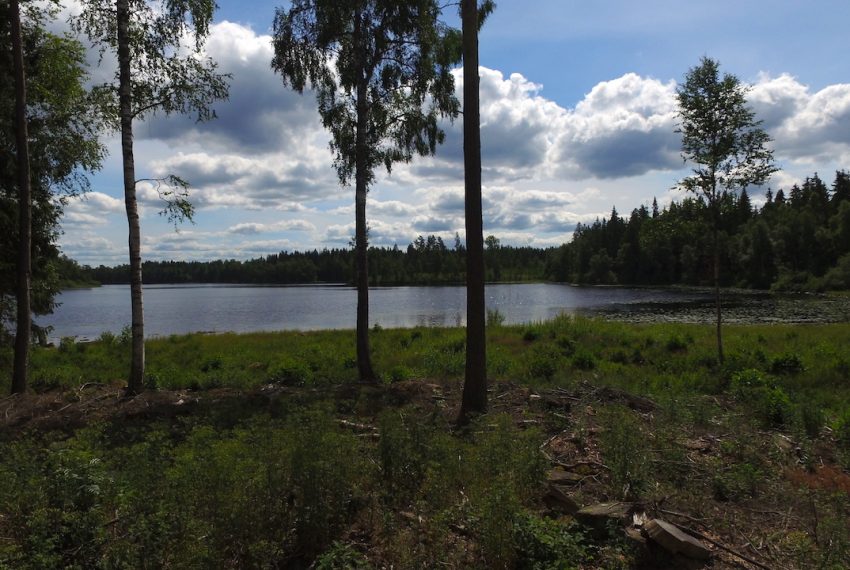 Der See
