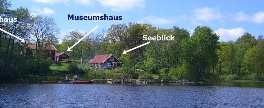 Direkte Seelage