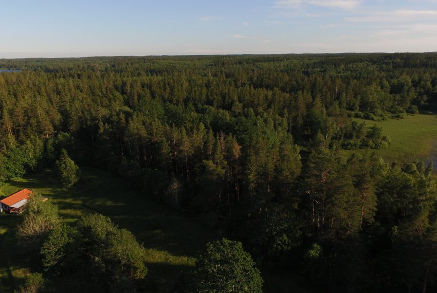 zum See sind es nur 200 m durch den Wald zum eigenen Steg