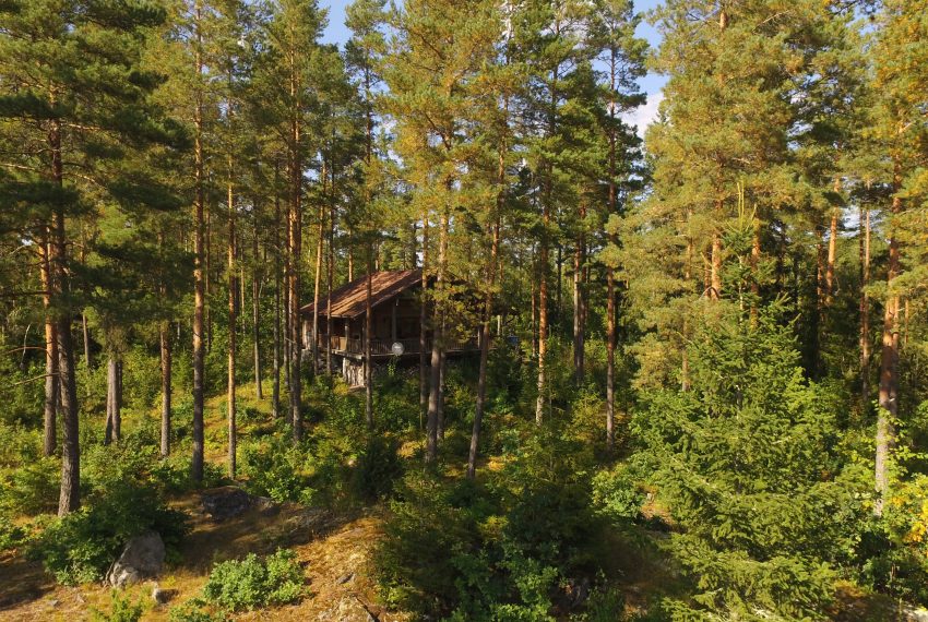 Abendsonne am Haus Dachsbau