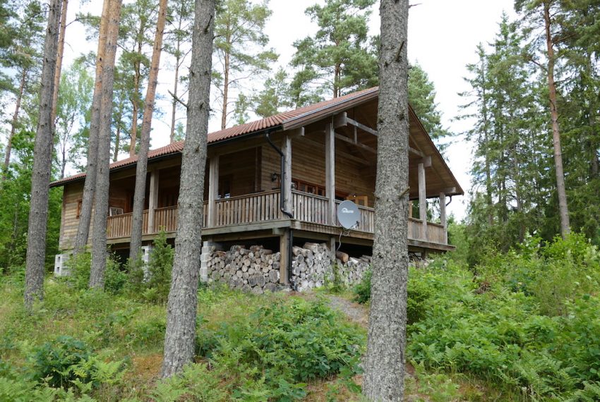 Blockhaus Dachsbau mitten im Wald